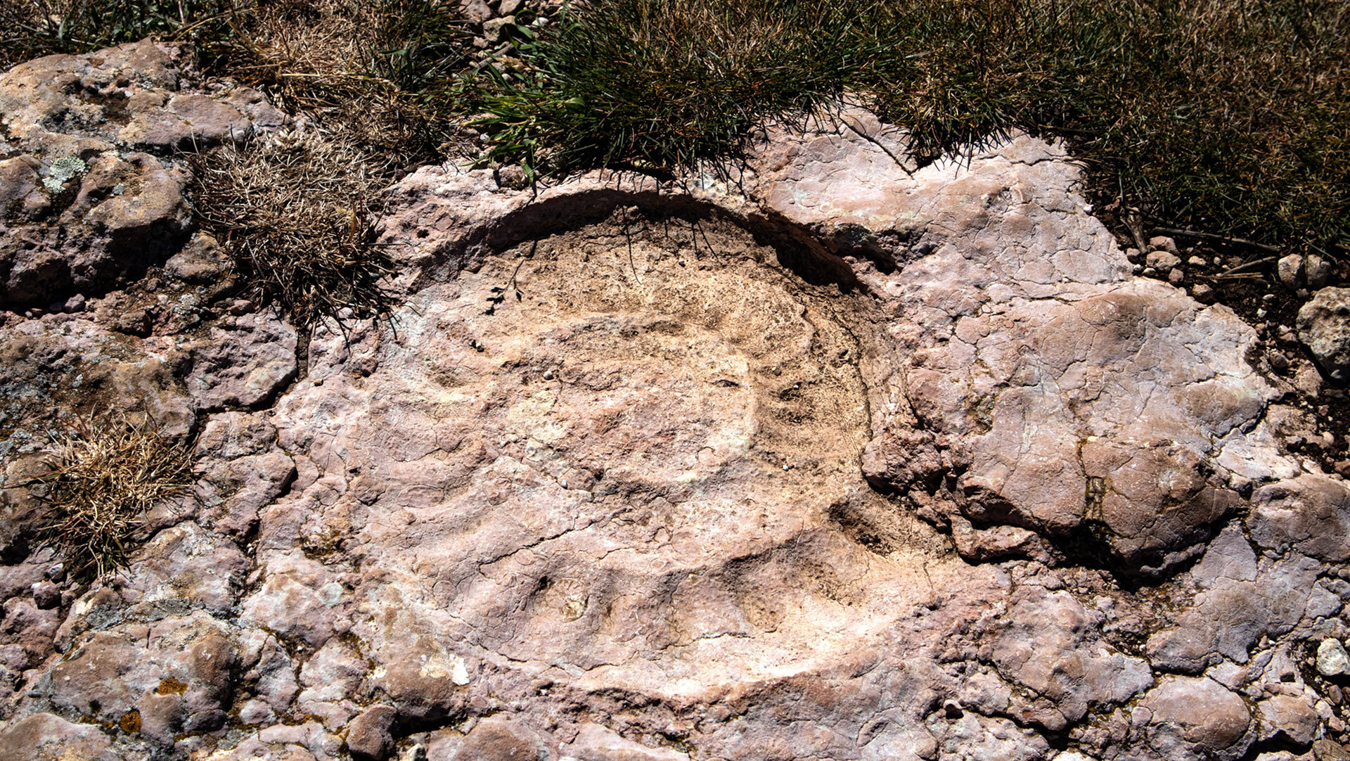 Abdruck eines Ammoniten im Torcal de Antequera