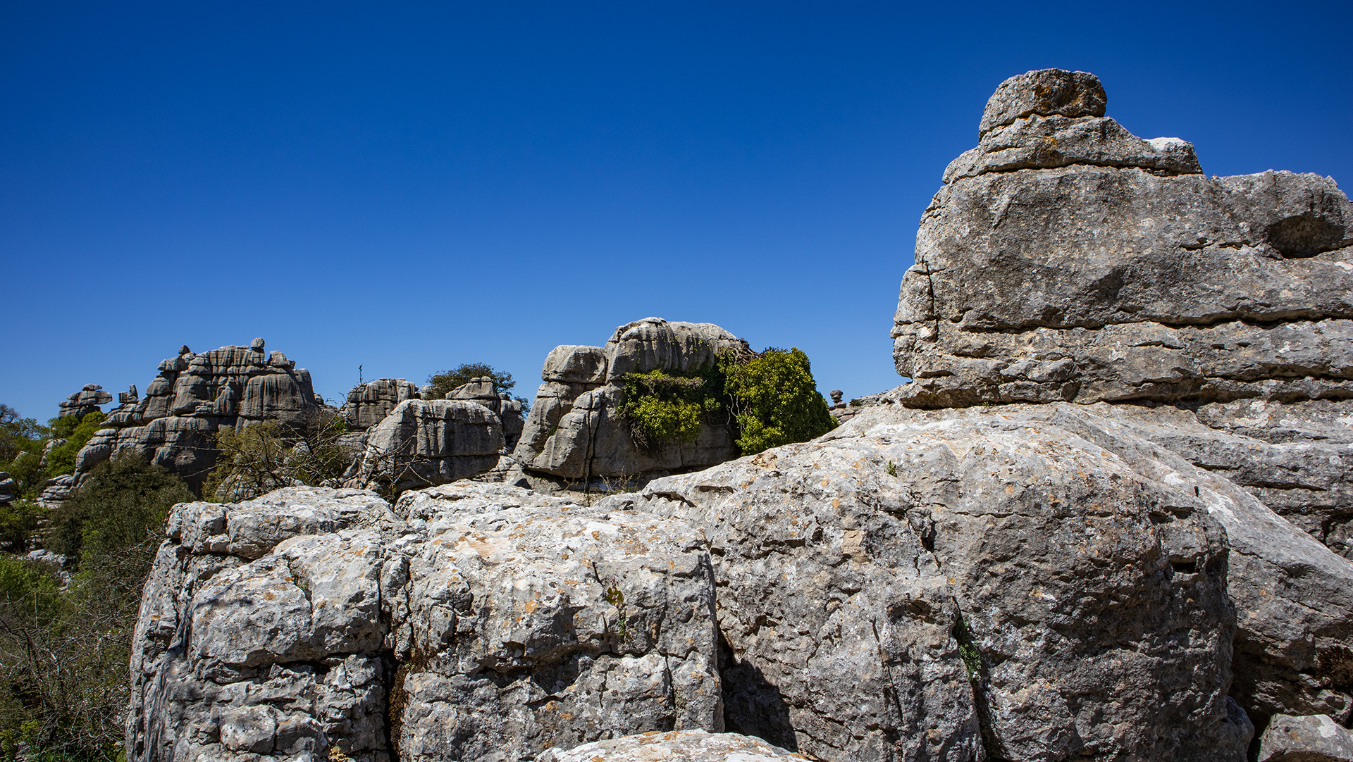 Felslandschaft des Torcal de Antequera – idealer Lebensraum für den Steinbock