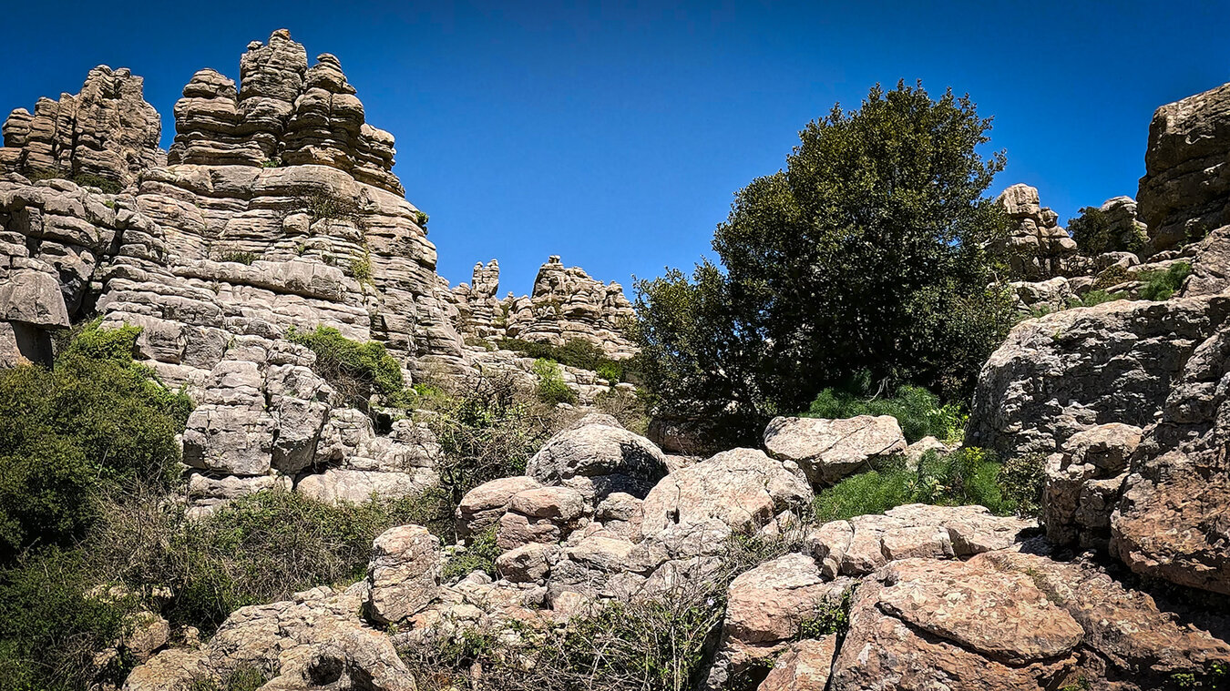 Das Ökosystem El Torcal de Antequera: die Kalksteinlandschaft bietet dem Gänsegeier ideale Thermikverhältnisse und ungestörte Brutplätze