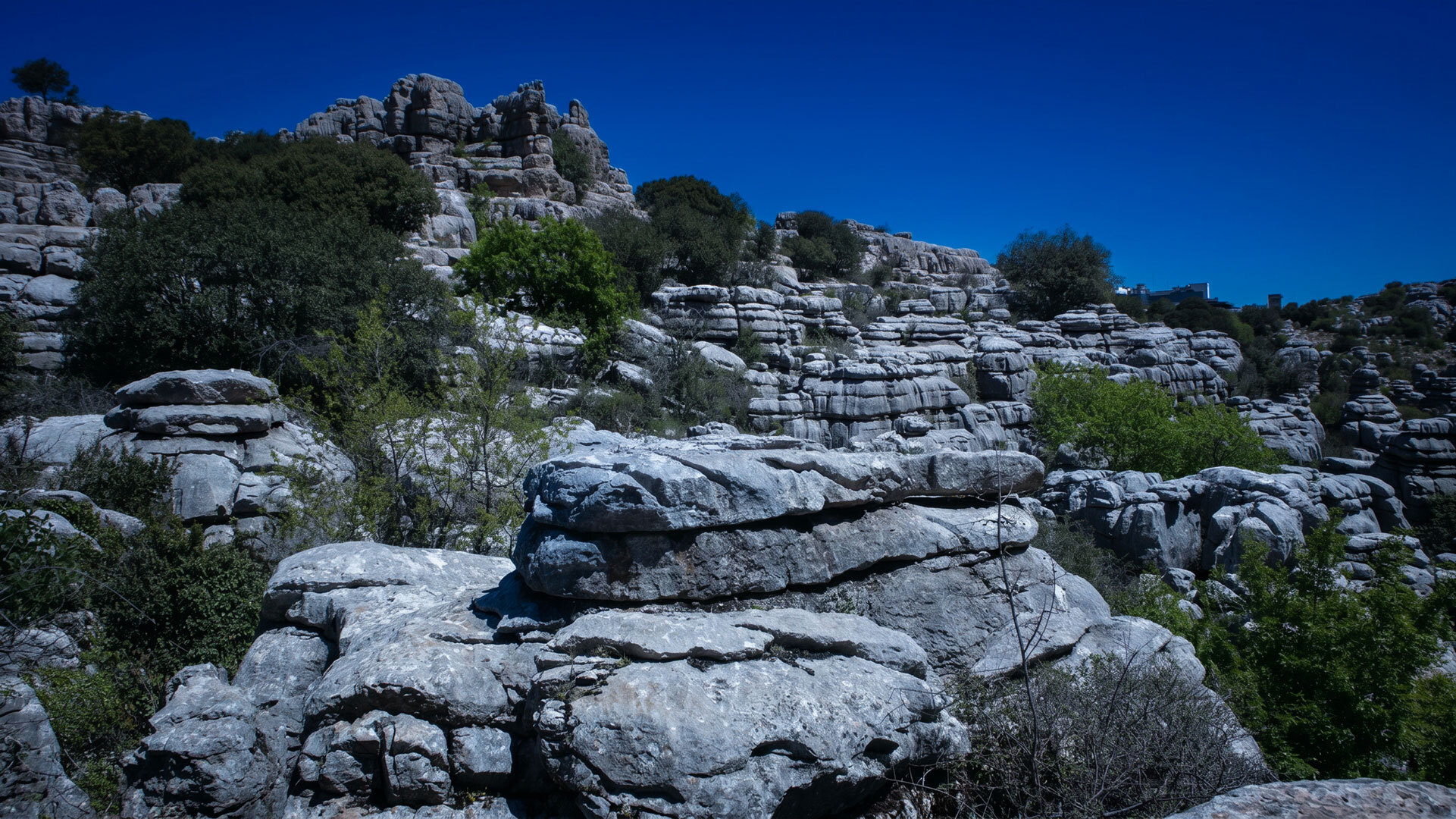 Mondschein-Touren im El Torcal de Antequera