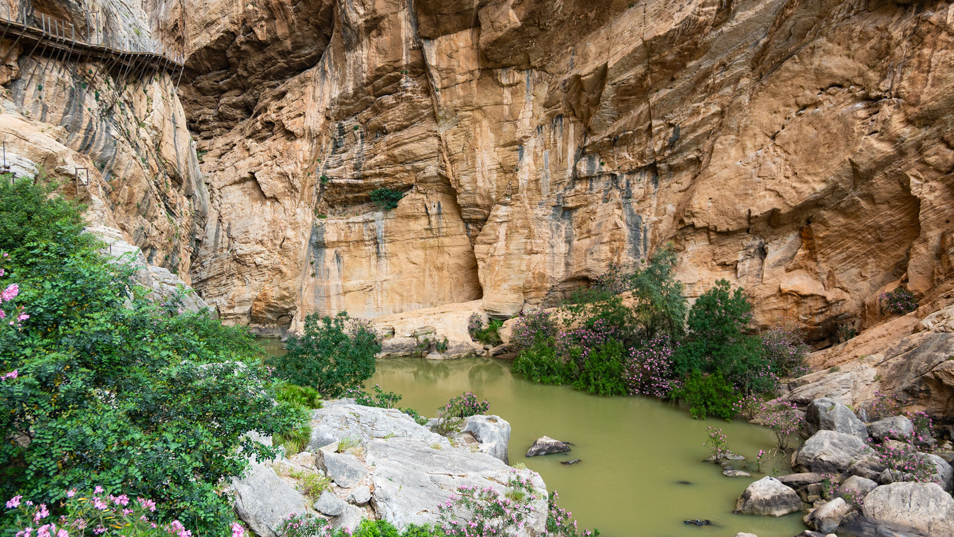 Die tiefe Schlucht des Rio Guadalhorce